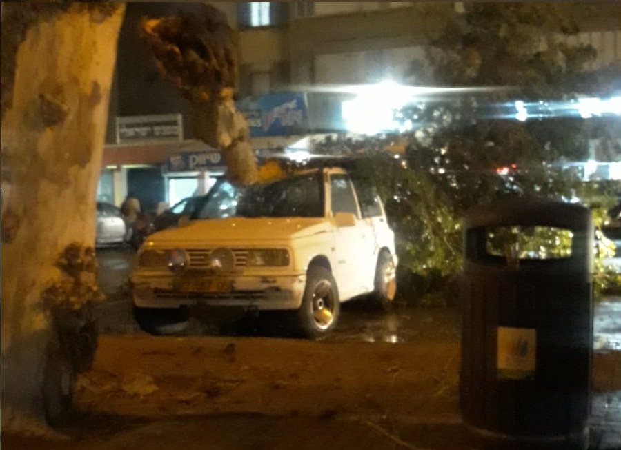 עץ קרס על גג רכב ברובע ו' | צילום: דודו חן