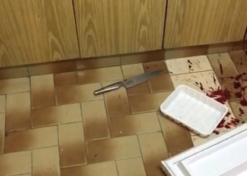 הסכין ששימשה לדקירה - צילום: דוברות המשטרה