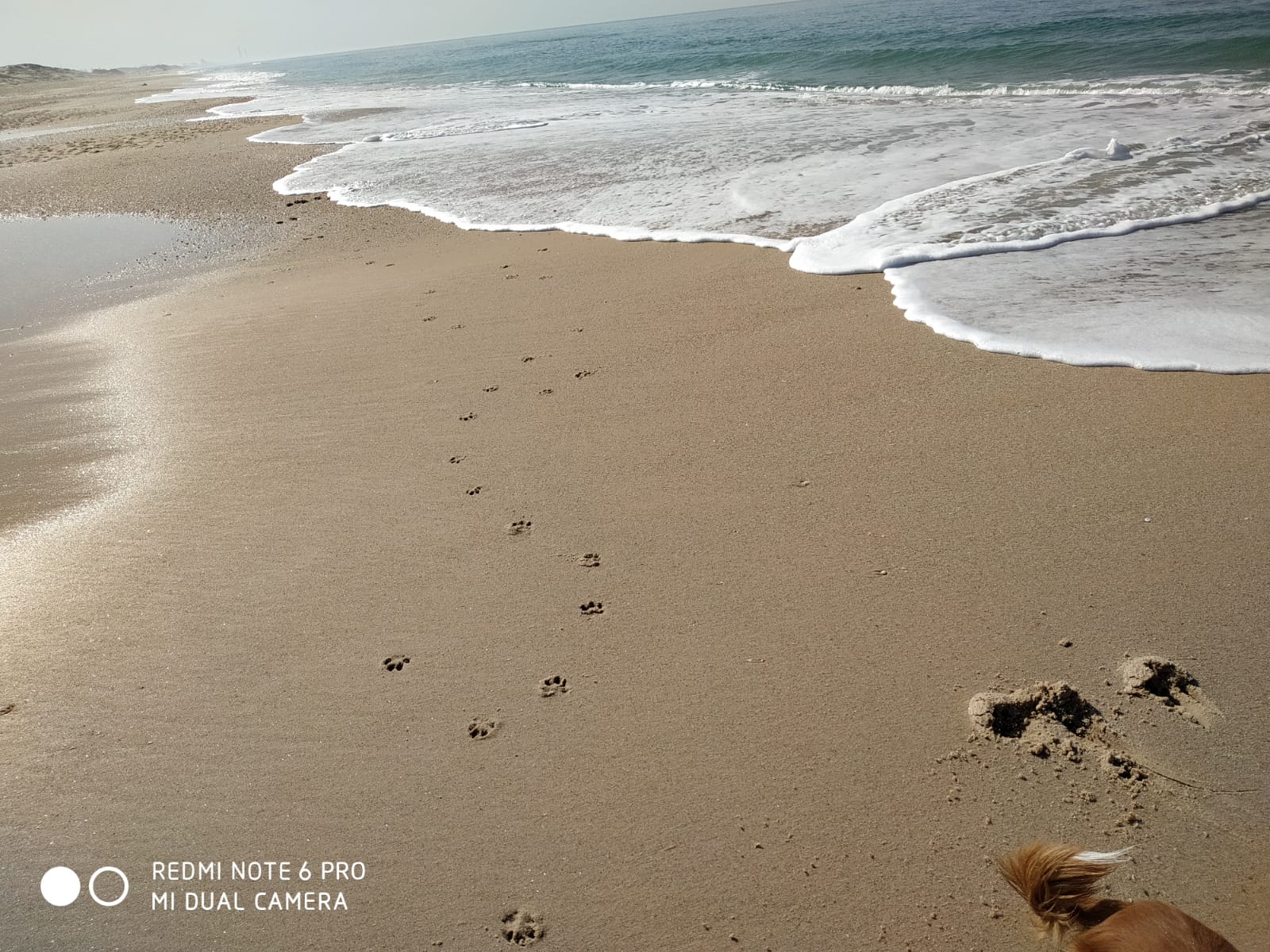 חוף באר טוביה | צילום: עו"ד טדי מנשה