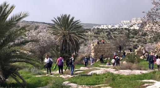 צילום: ירושלים נט