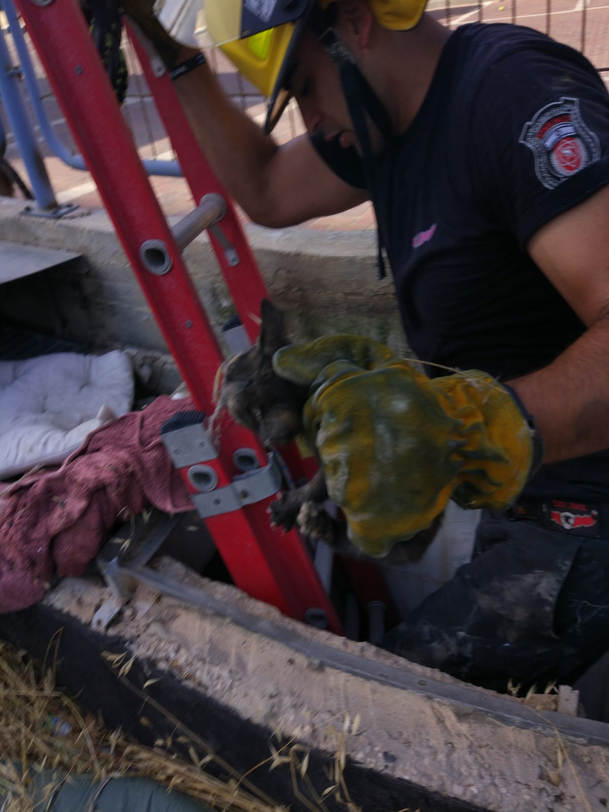 קרדיט: דוברות כבאות והצלה תחנה אזורית אשדוד