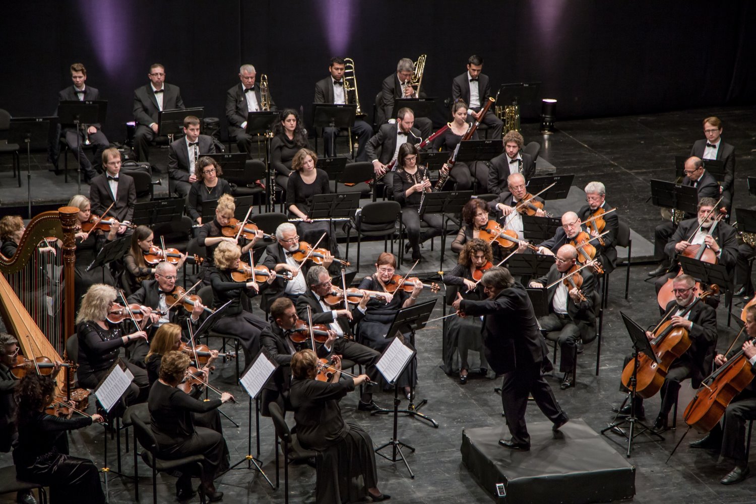 תזמורת האופרה הקאמרית הישראלית. צילום: מארק ז'לקובסקי 
