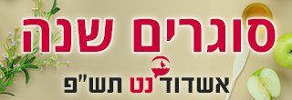 בעלי פלאפל כרמי מאשדוד בעקבות הקריסה הכלכלית בא לי לשרוף את עצמי וידאו אשדוד נט