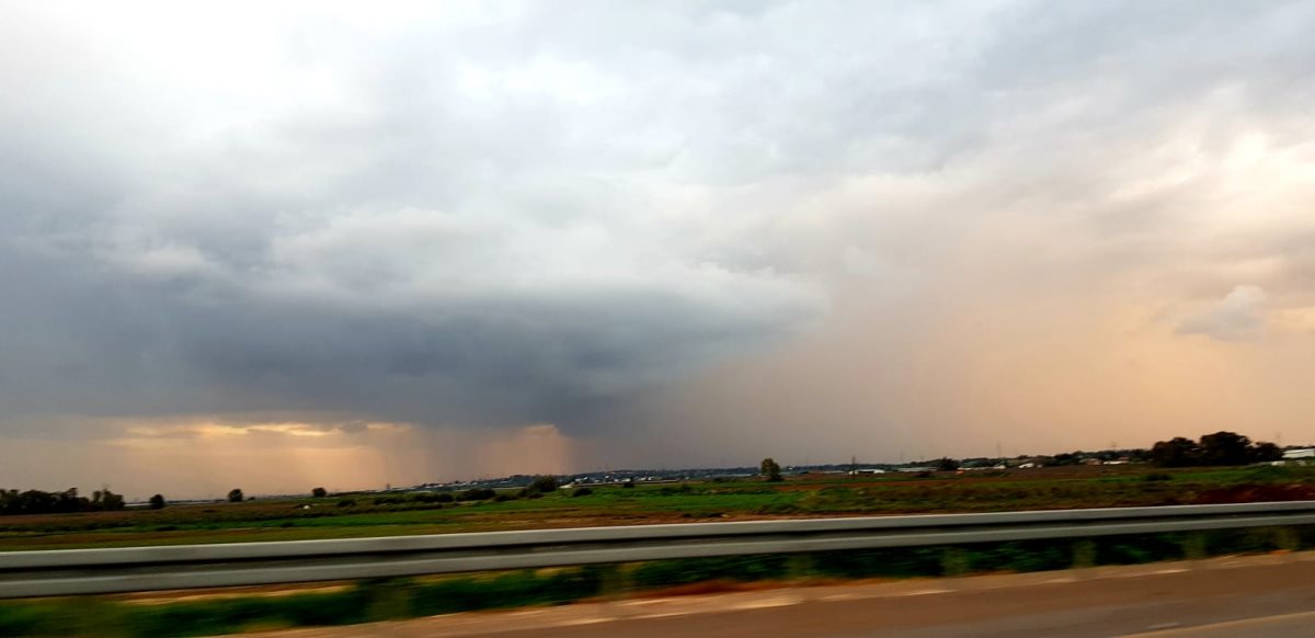 צילום: עופר אשטוקר