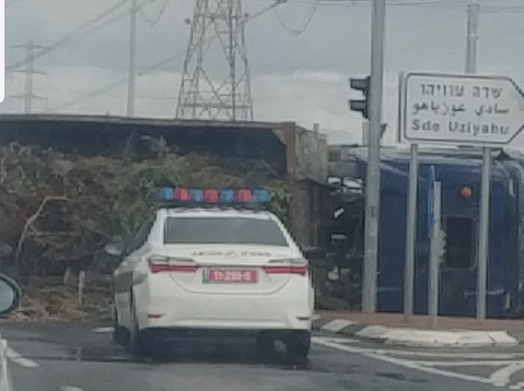 צילום: מוטי א