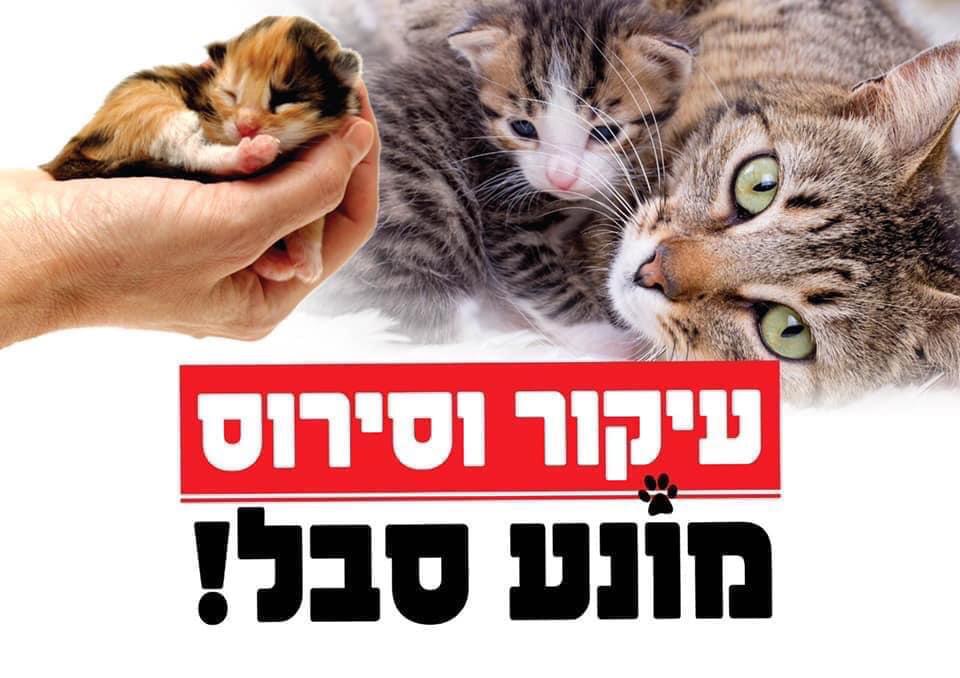 באדיבות "תשע נשמות"