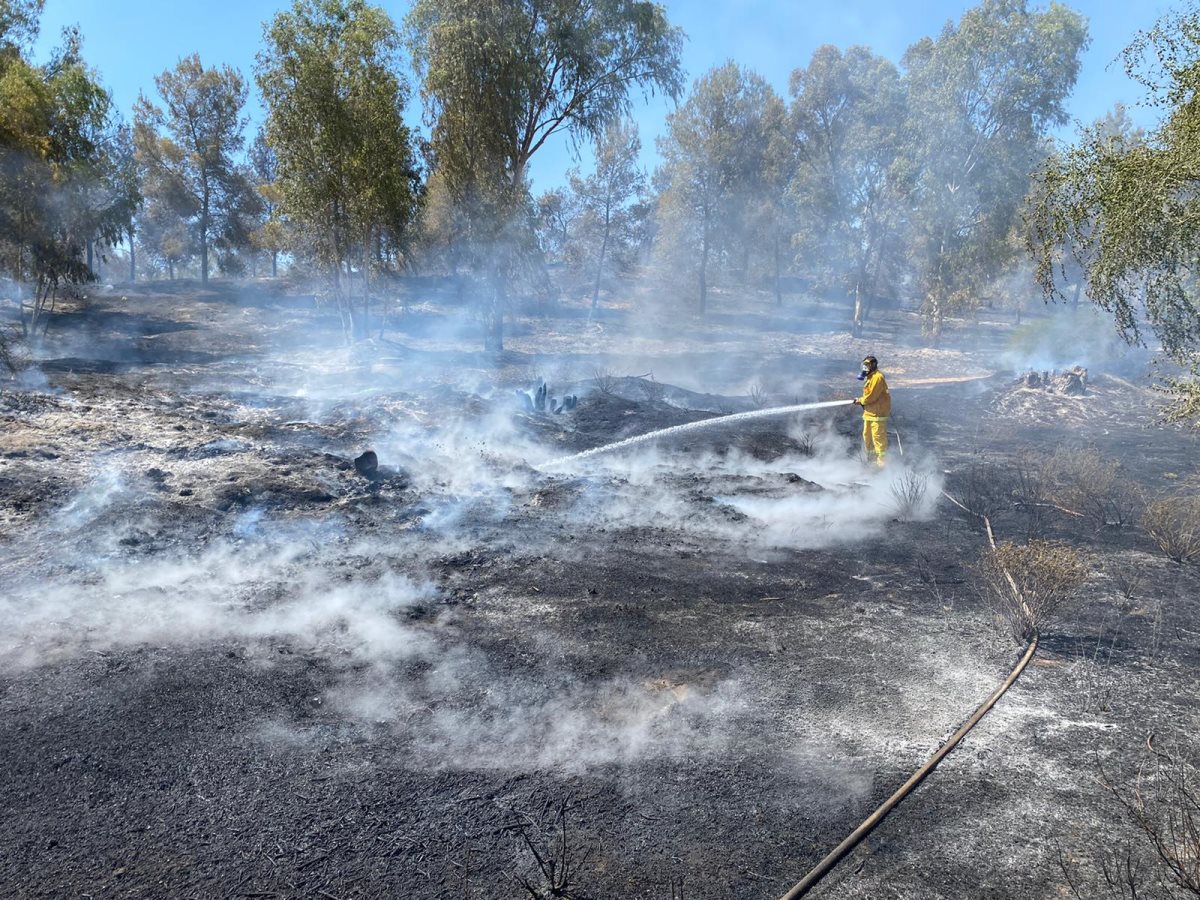 צילום מתנאל בושרי דוברות כב&quot;ה דרום