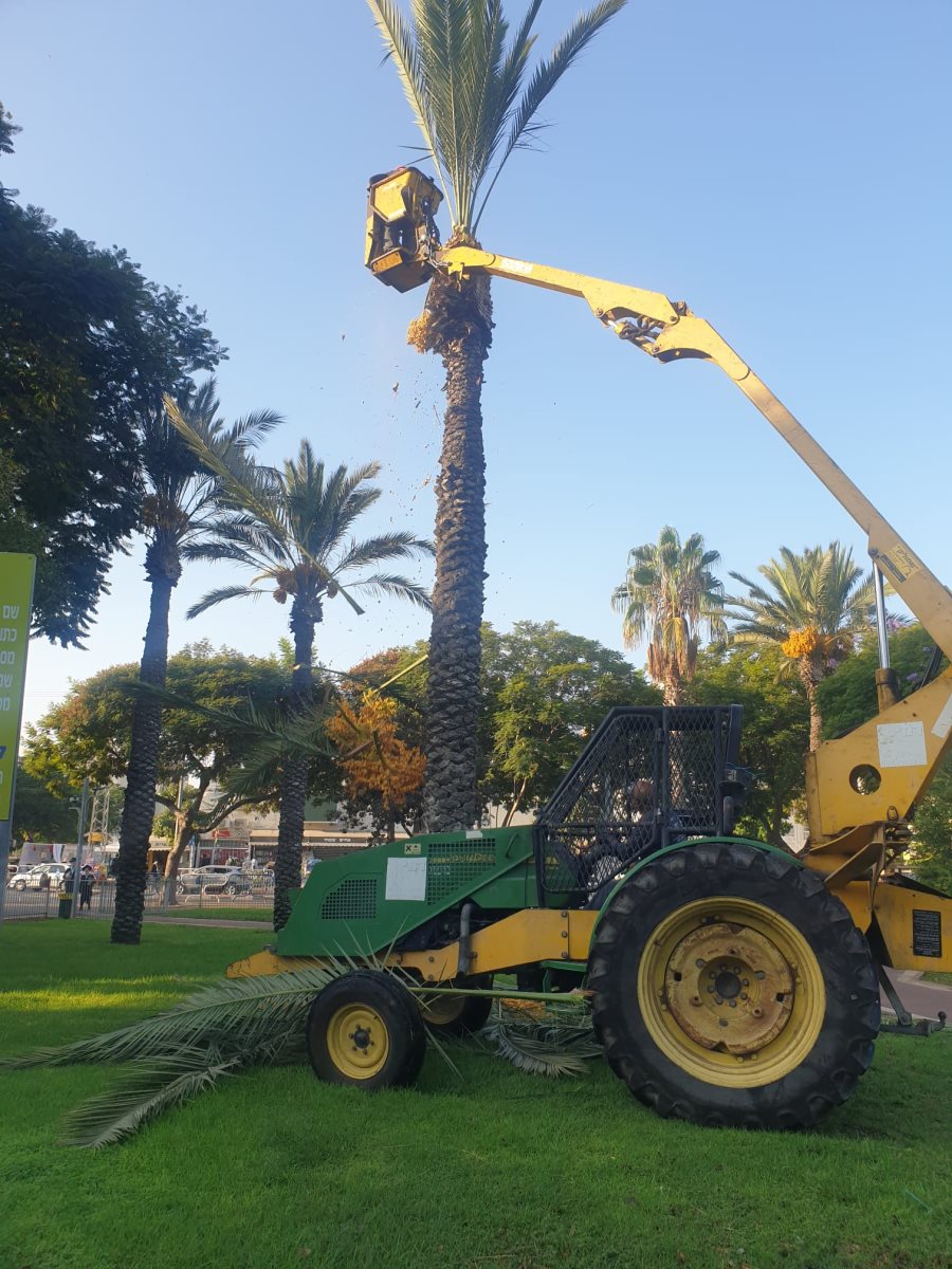 צילום: מינהלת רובע ז'