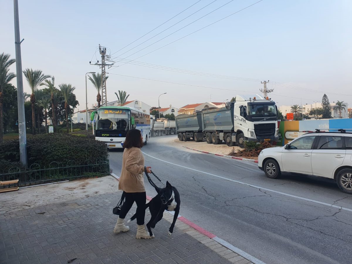 צילום: מרק אבו