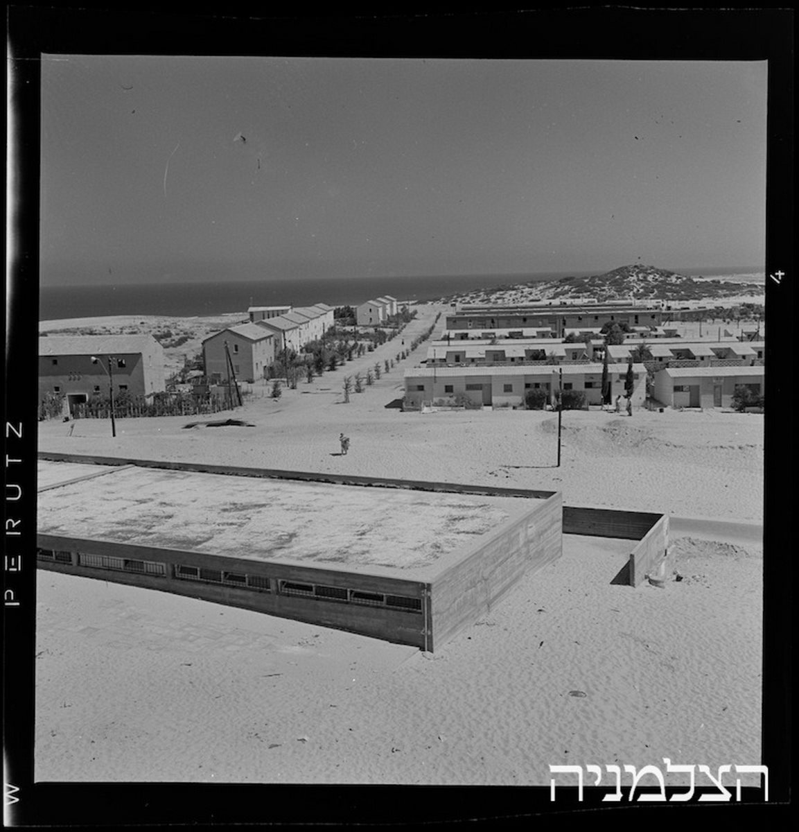 הקליפורניות ברובע א', 1960. צילום באדיבות הארכיון העירוני לתולדות אשדוד