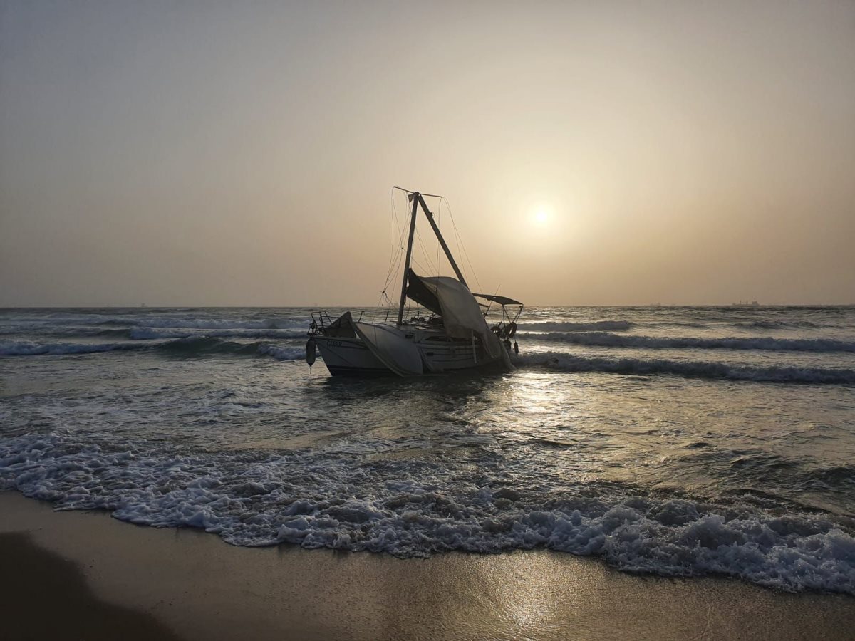 צילום: ניר רויבסקי