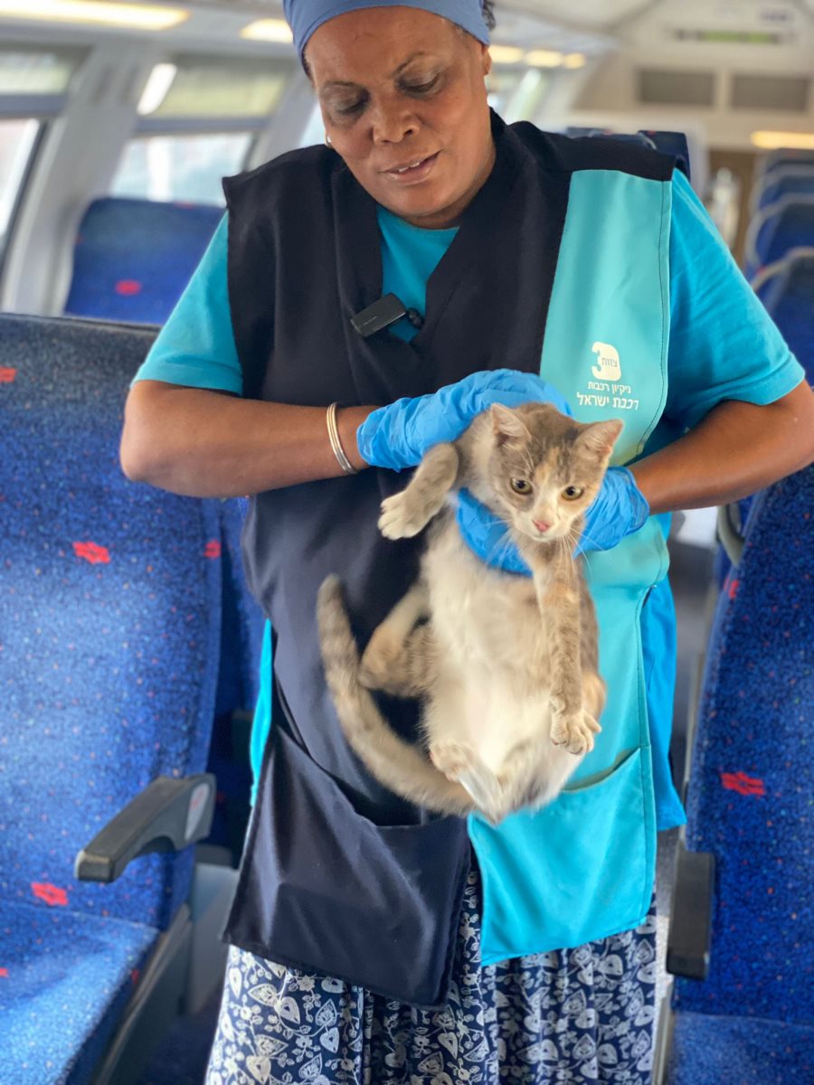 עובדת הניקיון והחתול המפוחד. צילום: רכבת ישראל
