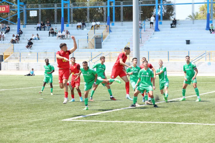 צילום: טוטו פוטו