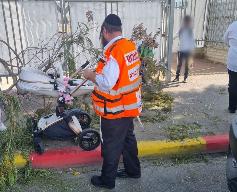 צילום: דוברות איחוד הצלה