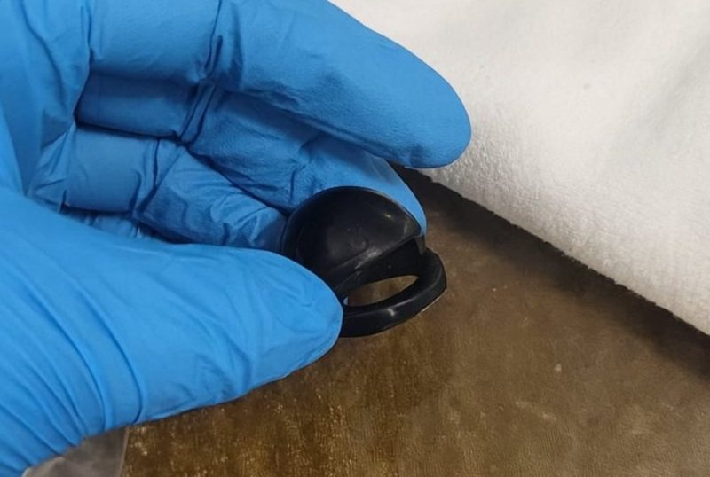 חתיכת הצעצוע אותה בלעה התינוקת (צילום: מד"א הצלה דרום)