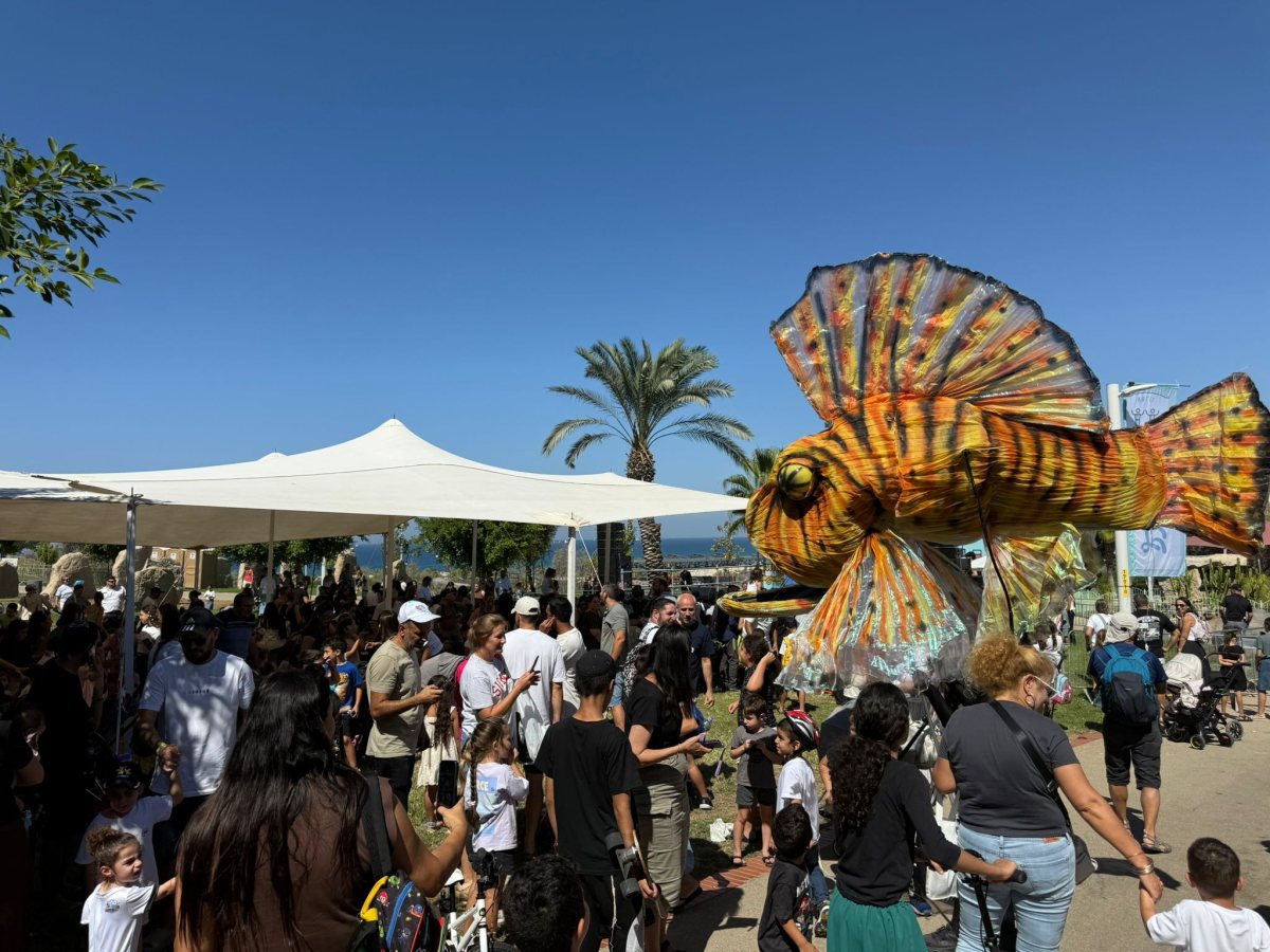 צילום: שמואל דוד