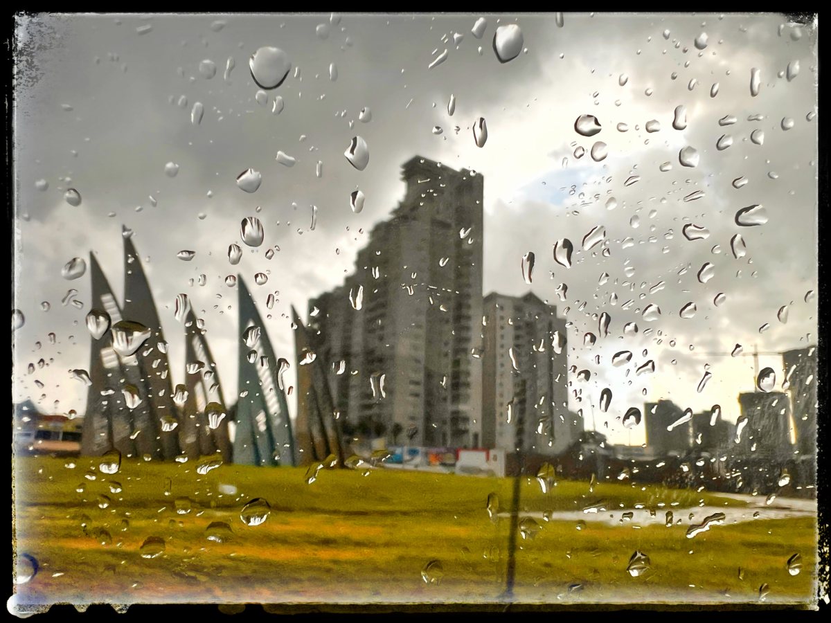 תמונת היום.צילום אורי קריספין