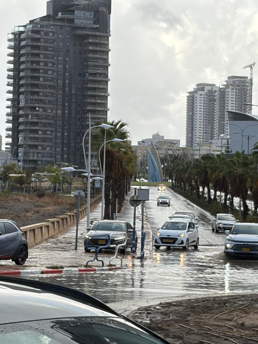 צילום אלייה בן שמחון