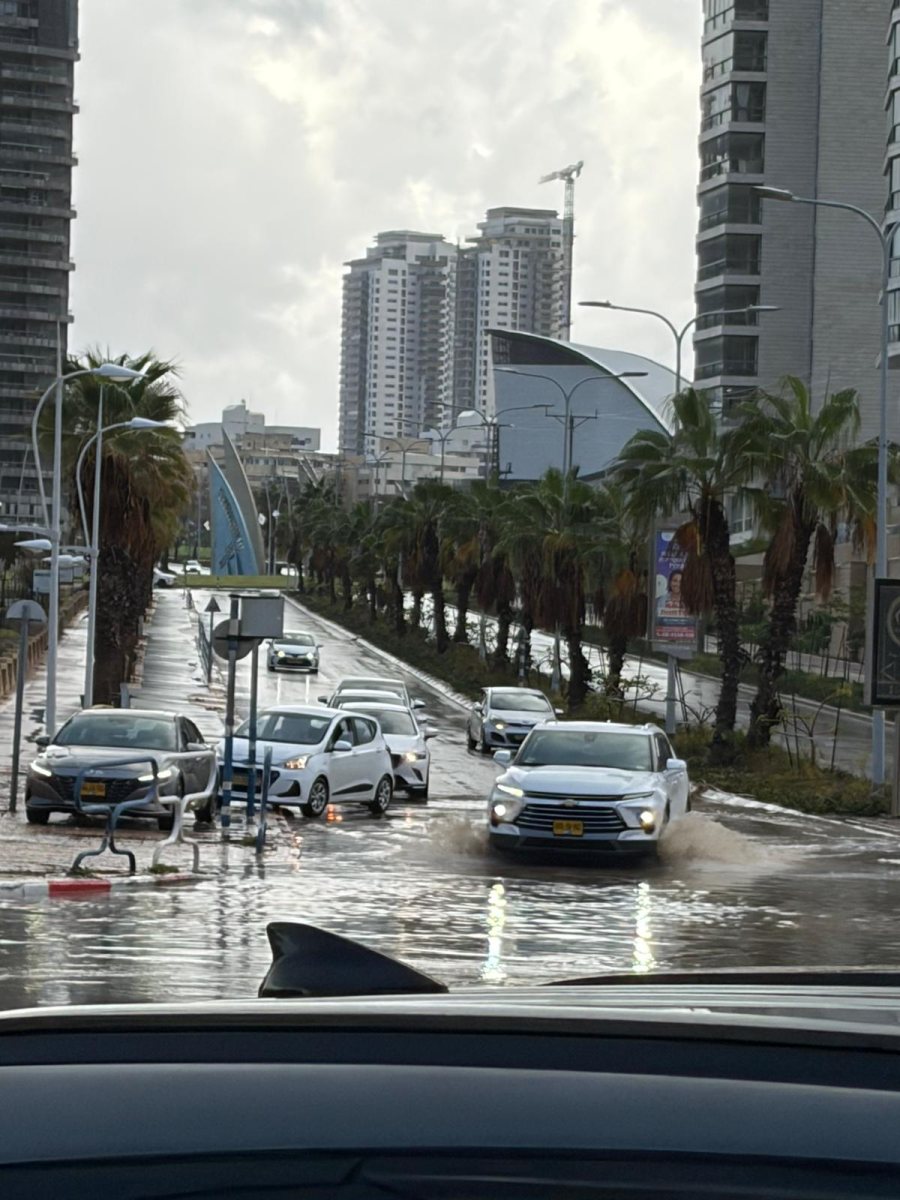צילום אלייה בן שמחון 