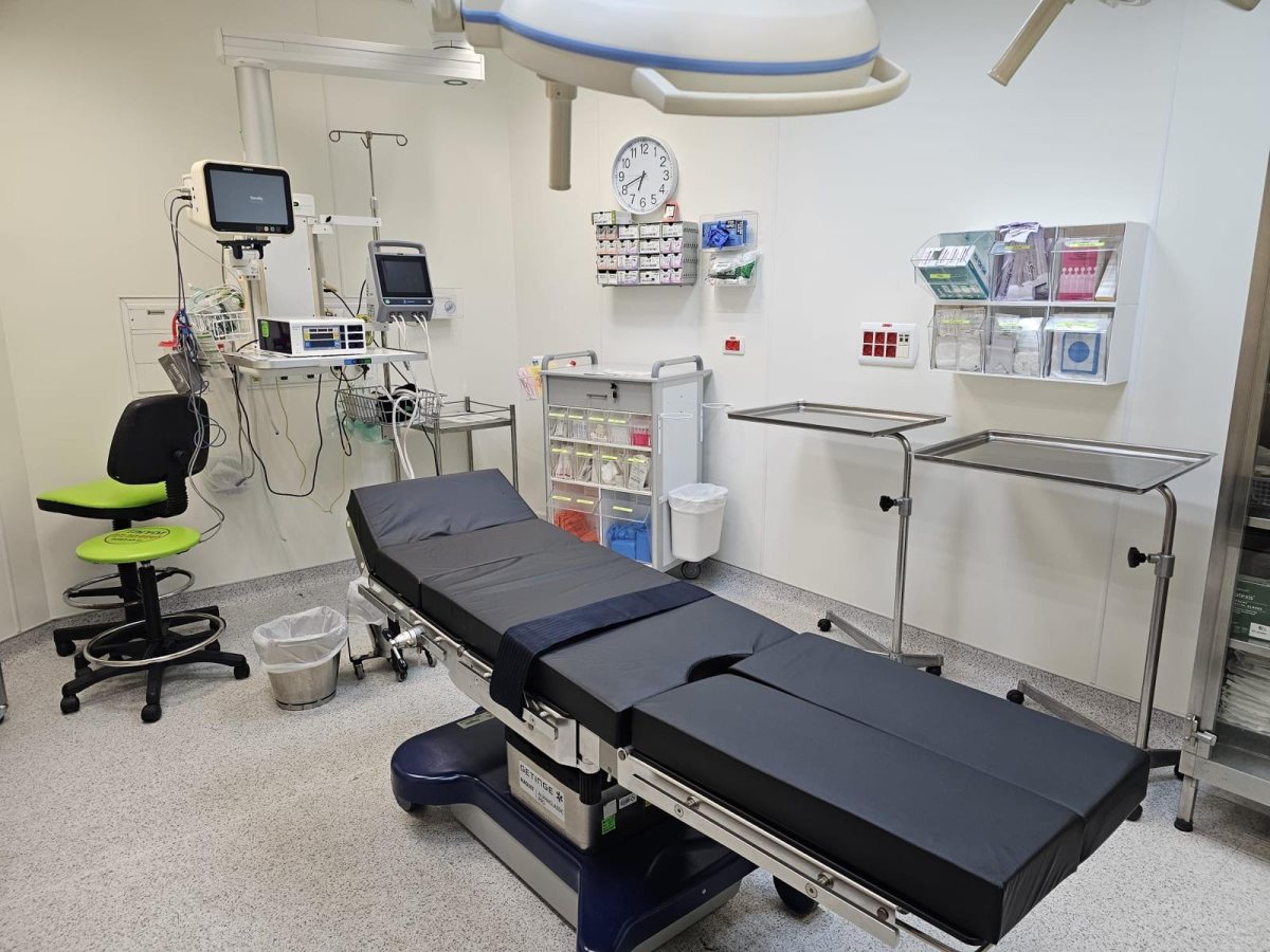 דוברות כללית