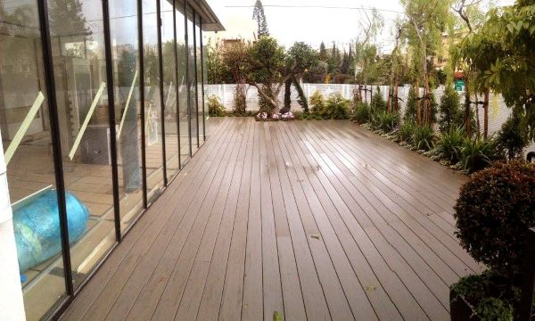 יועצי-החצר-גיל-סדן