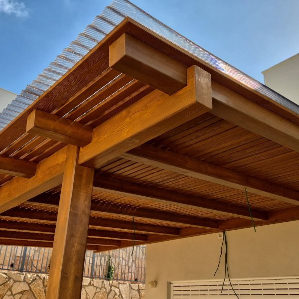 מוישלה-בניה-בעץ