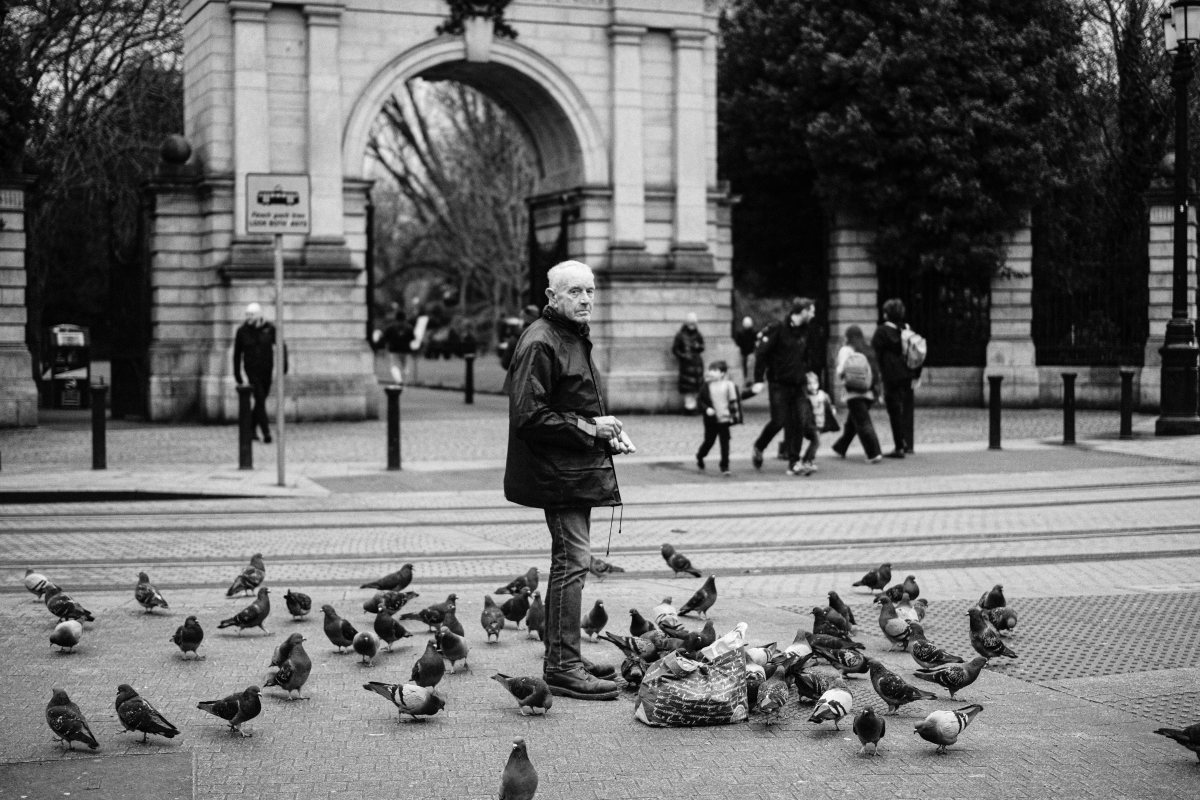 pexels-photo-34804242