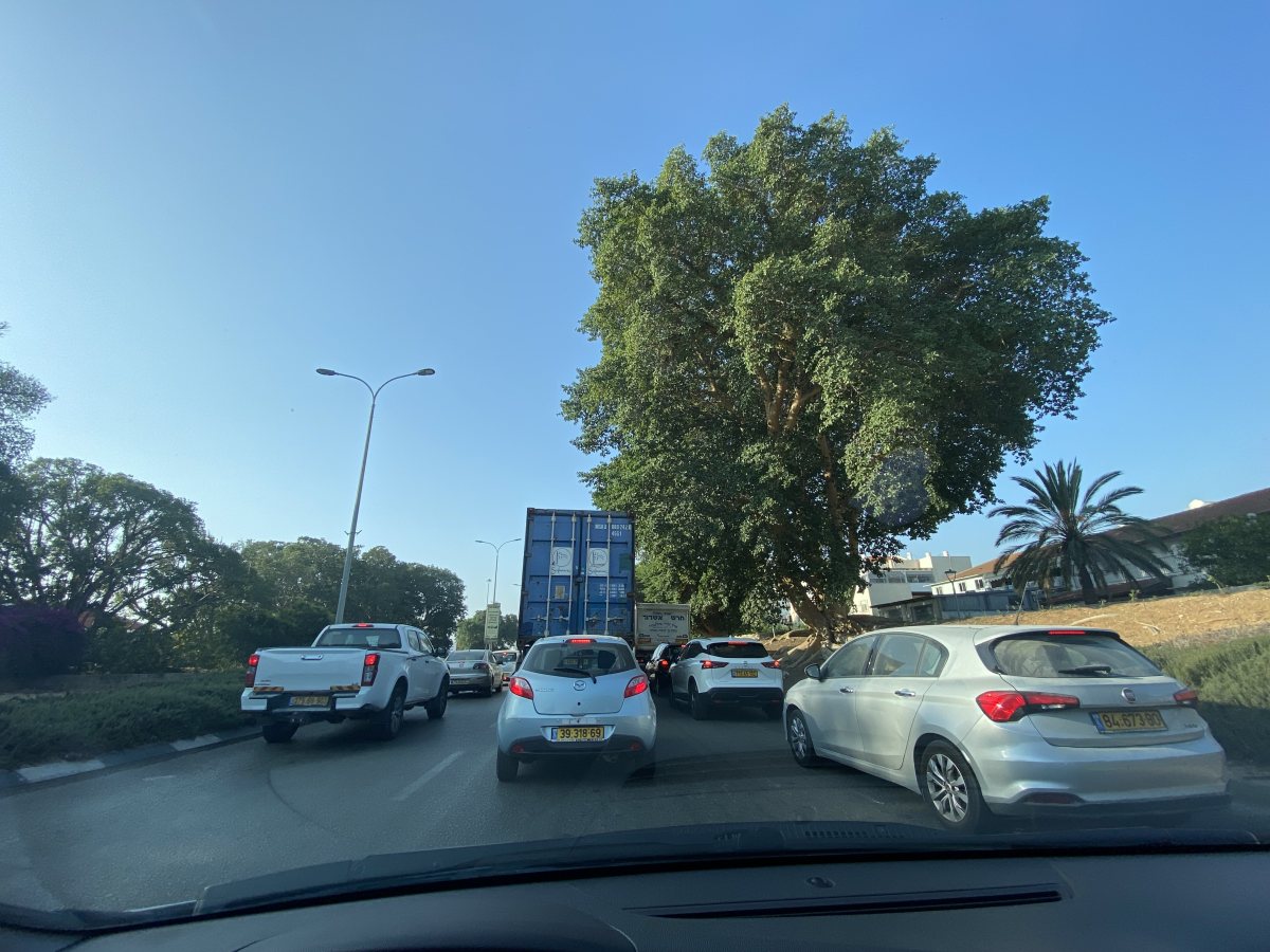 עומסי תנועה בדרומית 