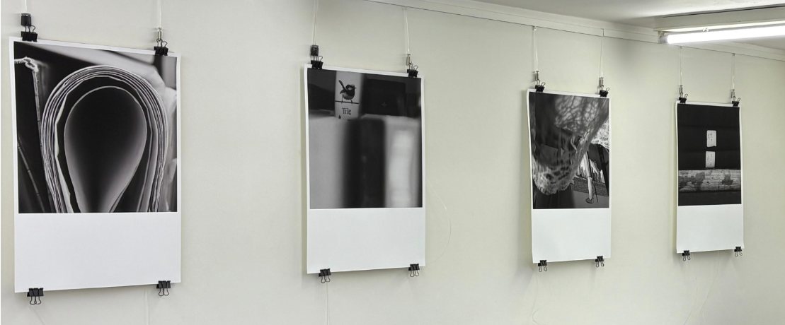 תערוכת Library Ashes 