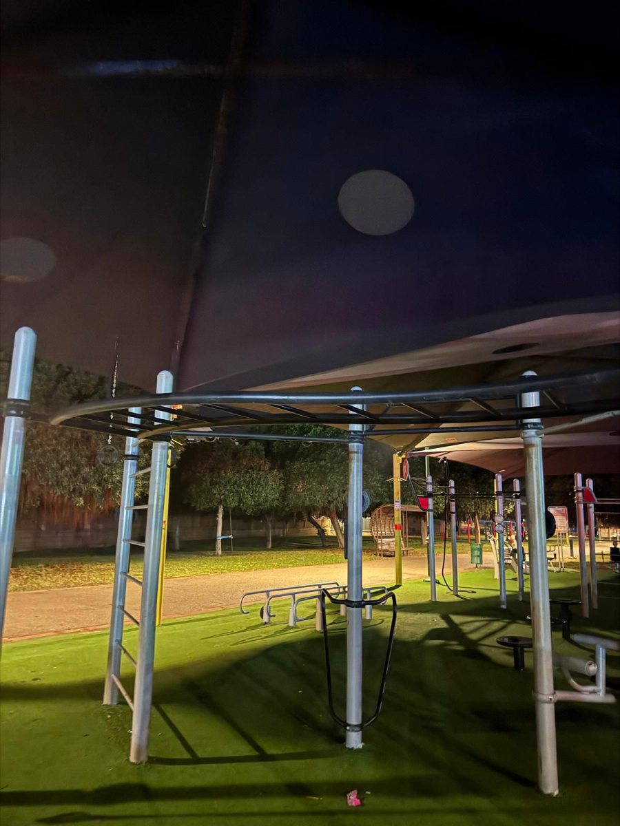 דוברות מד"א