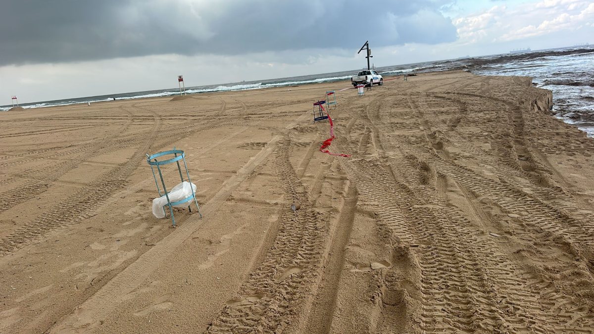 צילום: אגף החופים