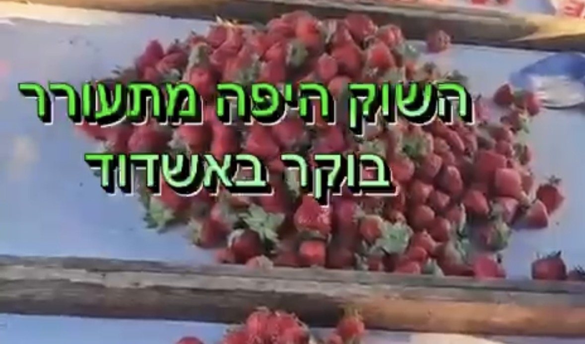 צילום: שמואל דוד