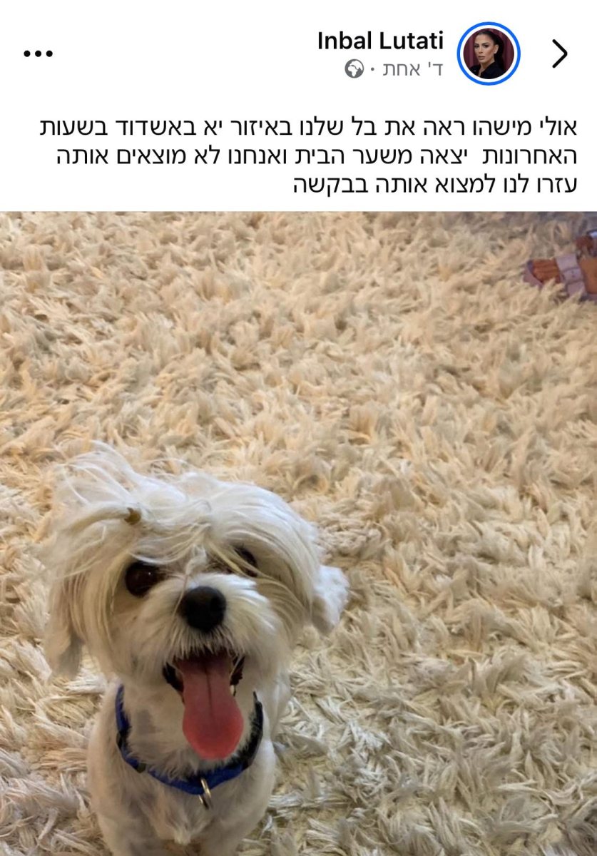 בל הלכה לאיבוד