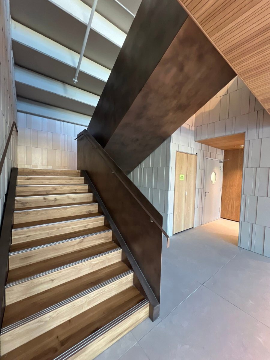 אס אייץ׳ פרופשנייל פיינט