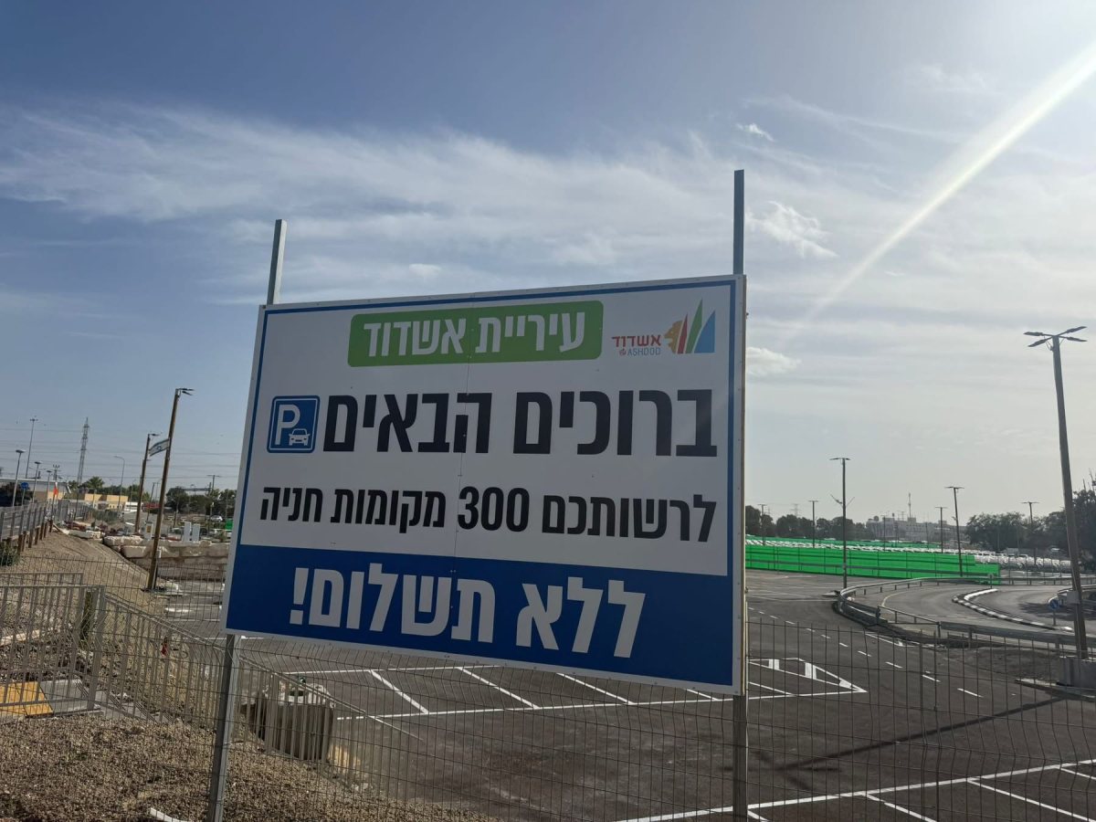 צילום: שמואל דוד