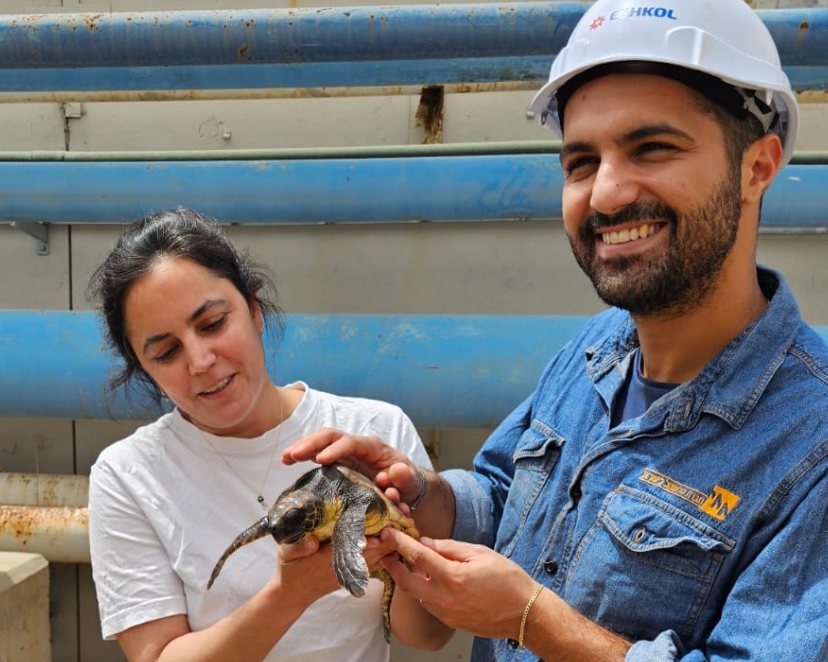 צילום: דליה אנרגיות