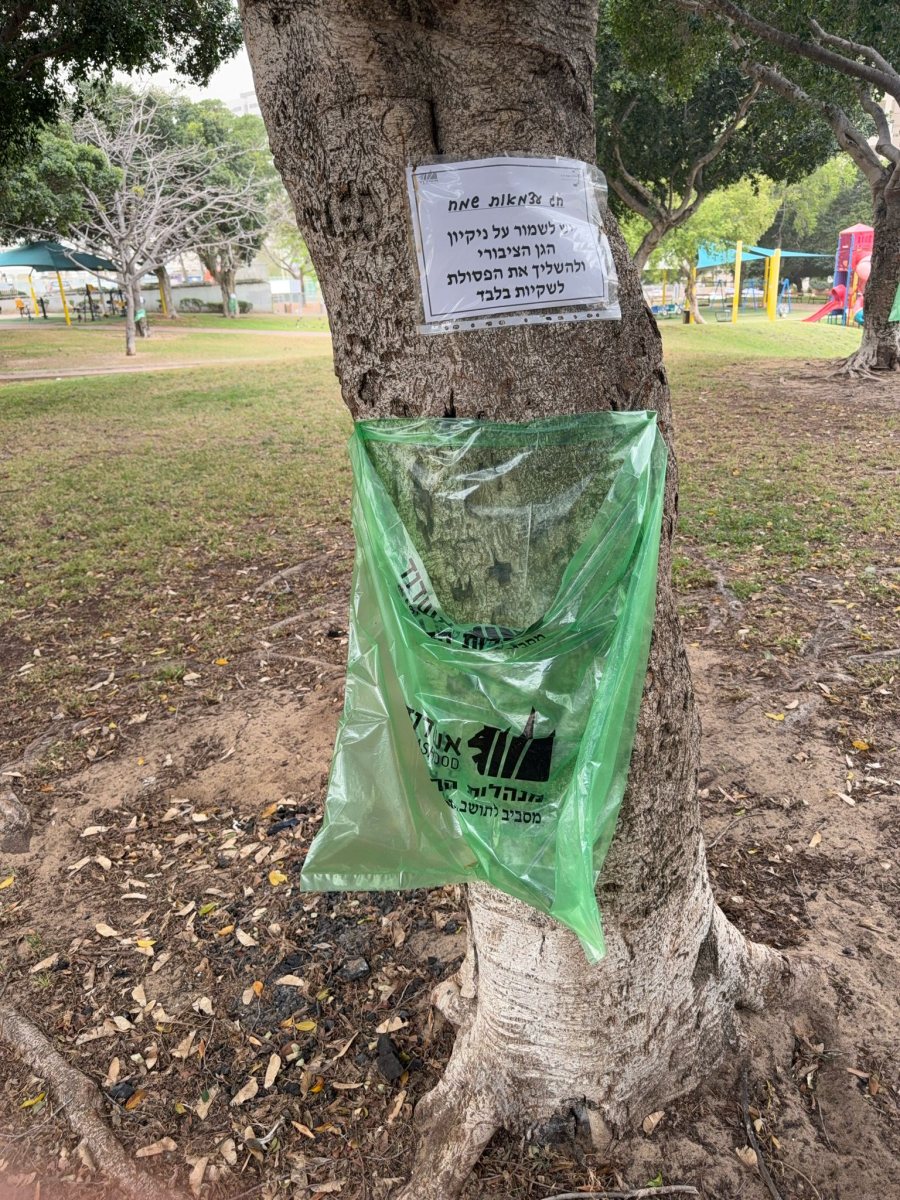 צילום: עיריית אשדוד