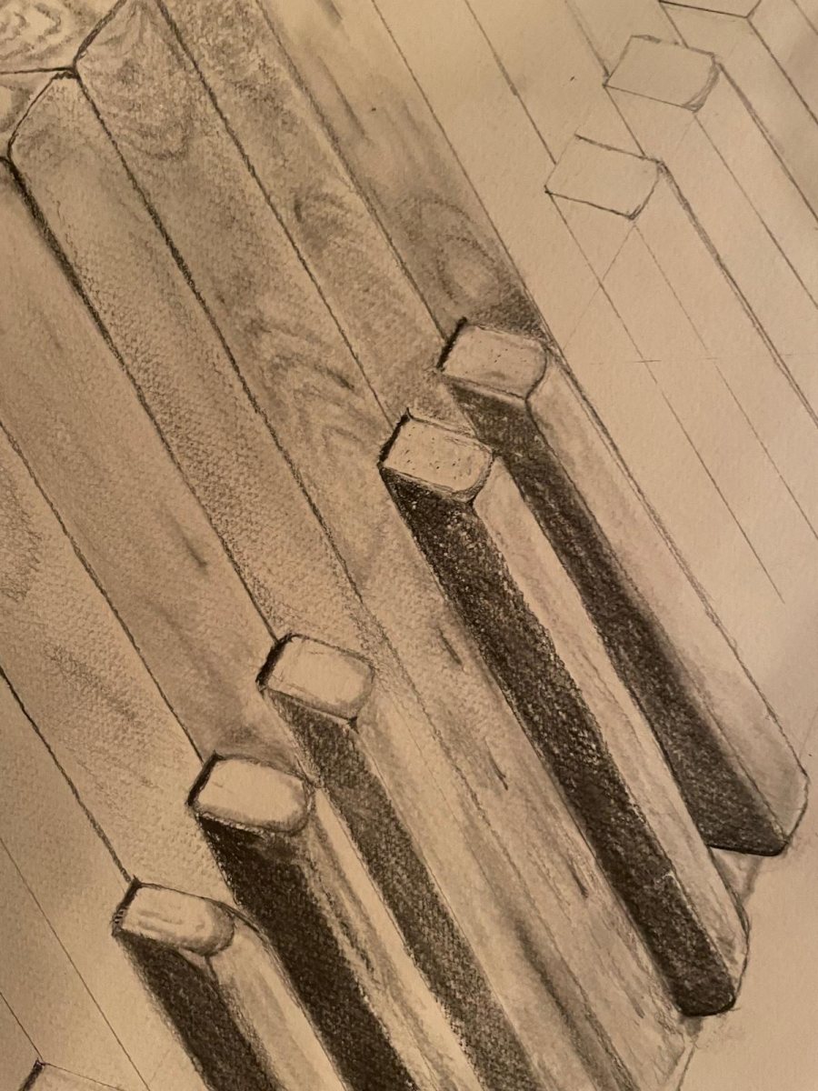 באדיבות רון