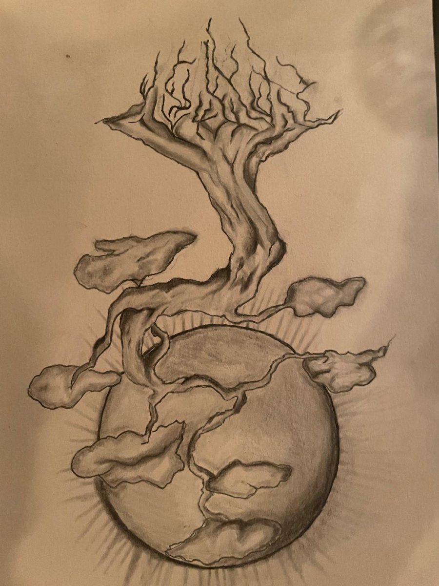 באדיבות רון