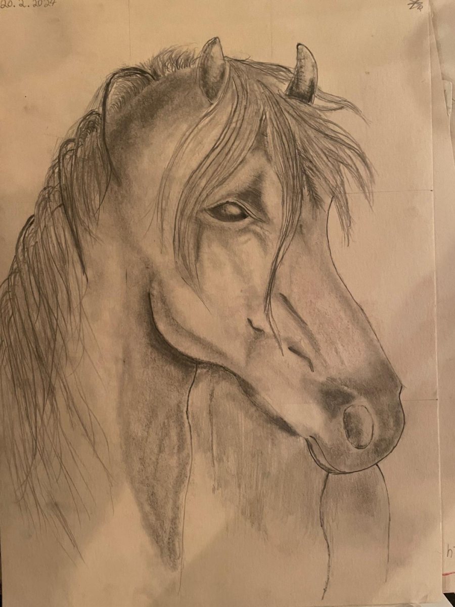 באדיבות רון