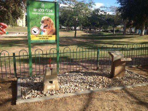 צילום: ארכיון