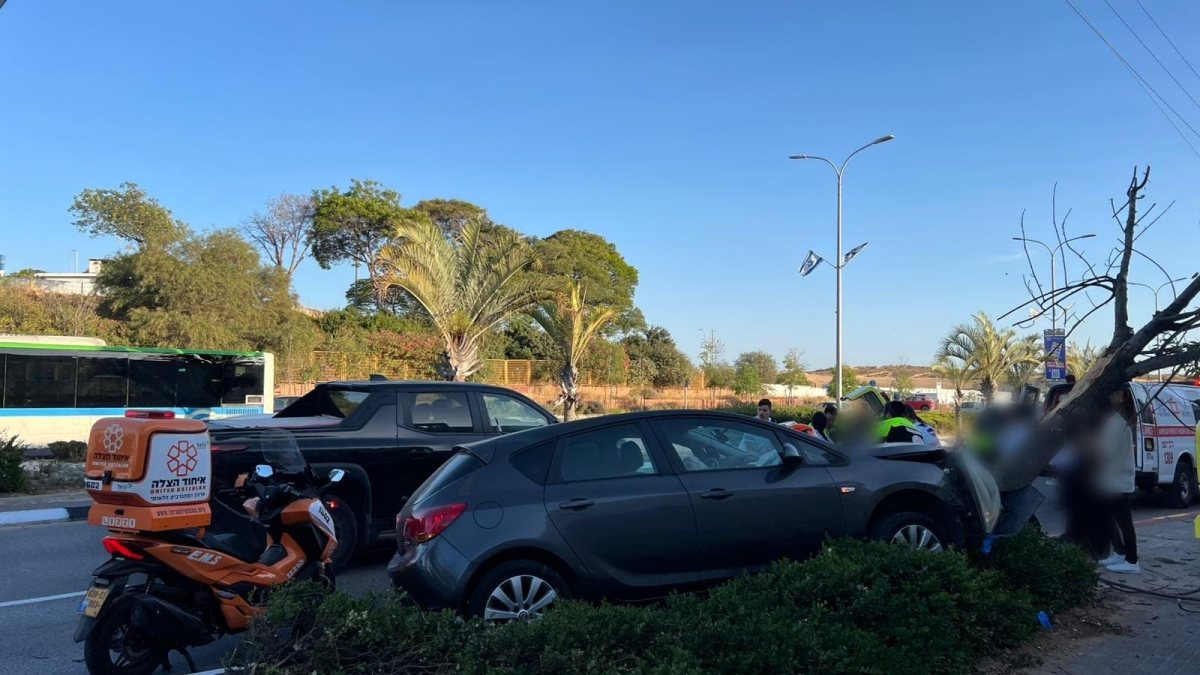 צילום: דוברות איחוד הצלה