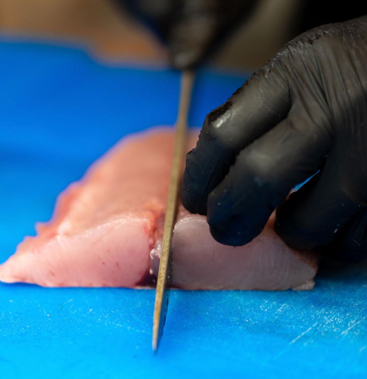 סושי יאן אשדוד