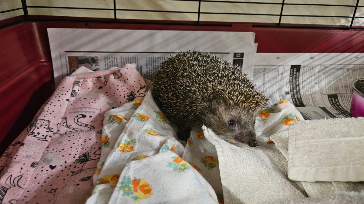 צילום: עיריית אשדוד