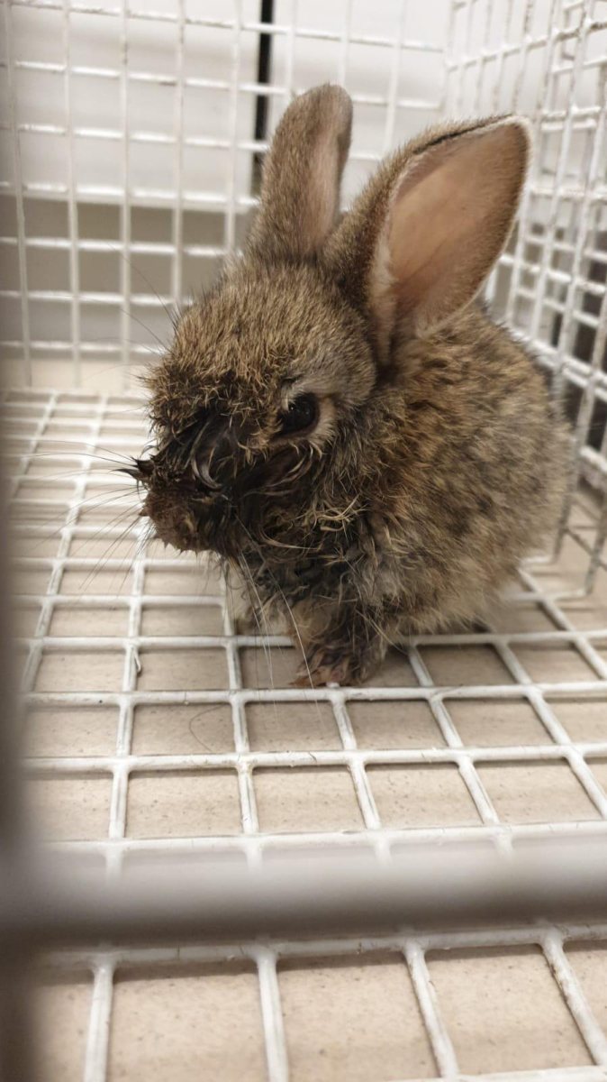 צילום: עיריית אשדוד