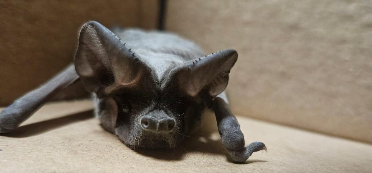 צילום: עיריית אשדוד