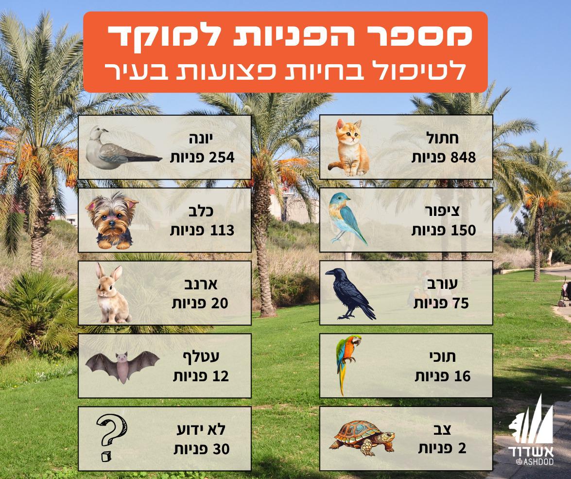 נתוני עיריית אשדוד