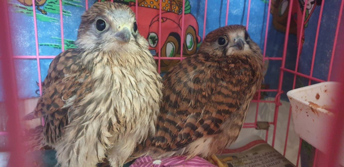 צילום: עיריית אשדוד