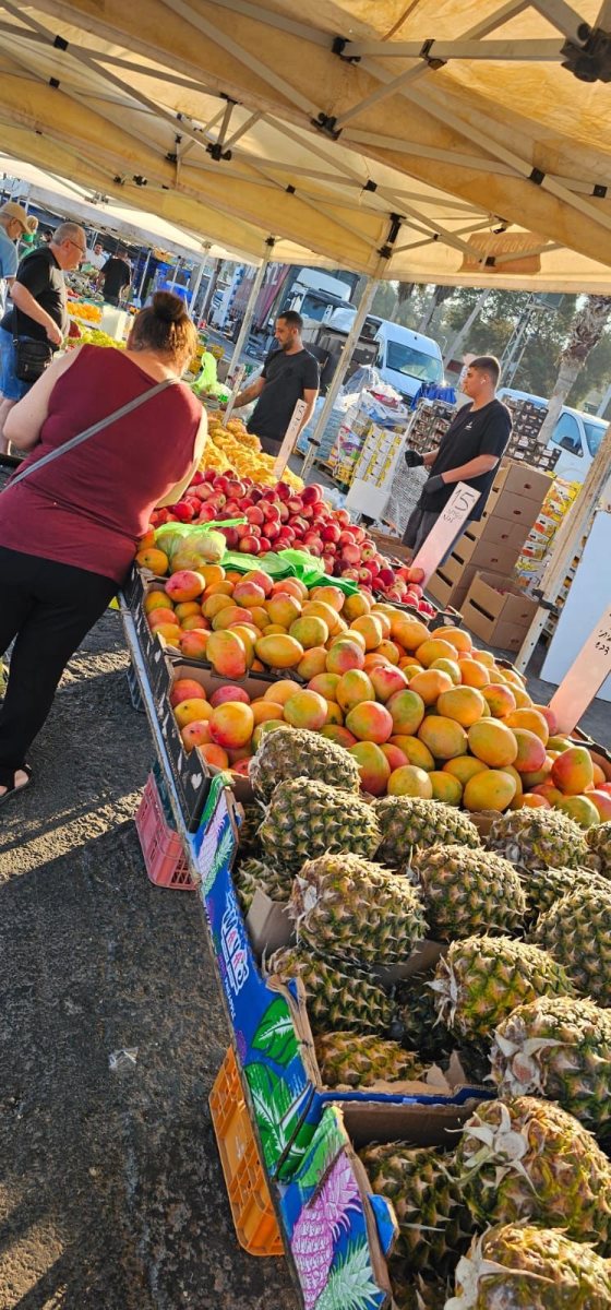שוק ים באשדוד