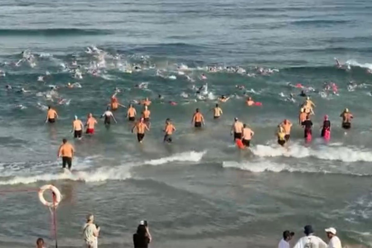 צילום: ארז שוונג